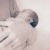 A Growing Family | Grix_Newborn-1036.jpg