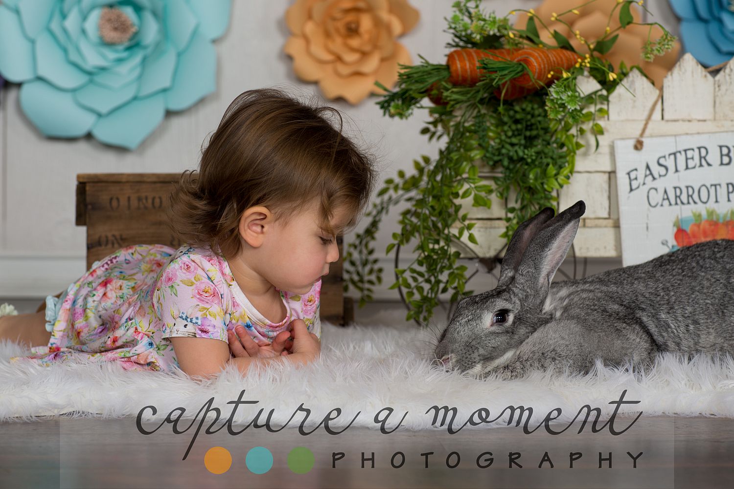 Easter and Spring Mini Sessions are Back! 