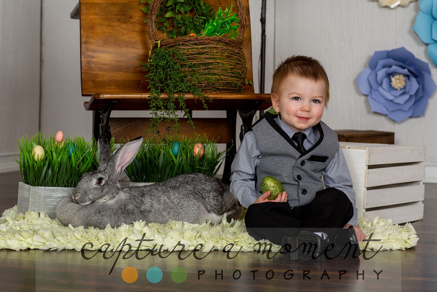 Easter and Spring Mini Sessions are Back! 