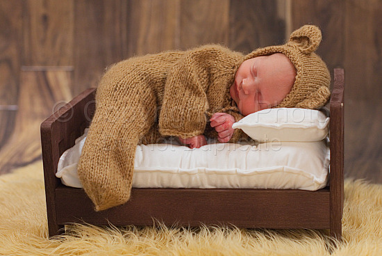 Penn Newborn Download